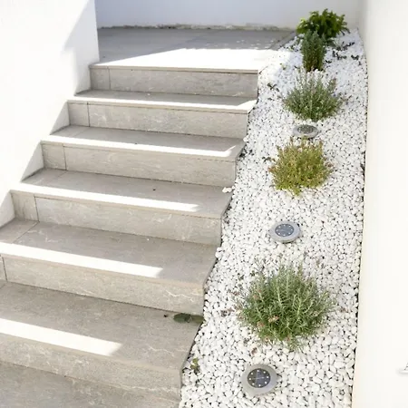 Cozy Sunflower Trogir